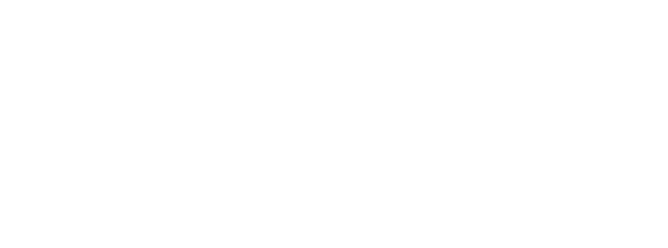 sleek web designs Transperant Logo 2